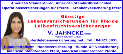 Lebensversicherungen-fuer-Pferde