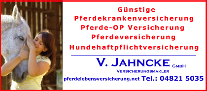 Turnierpferde